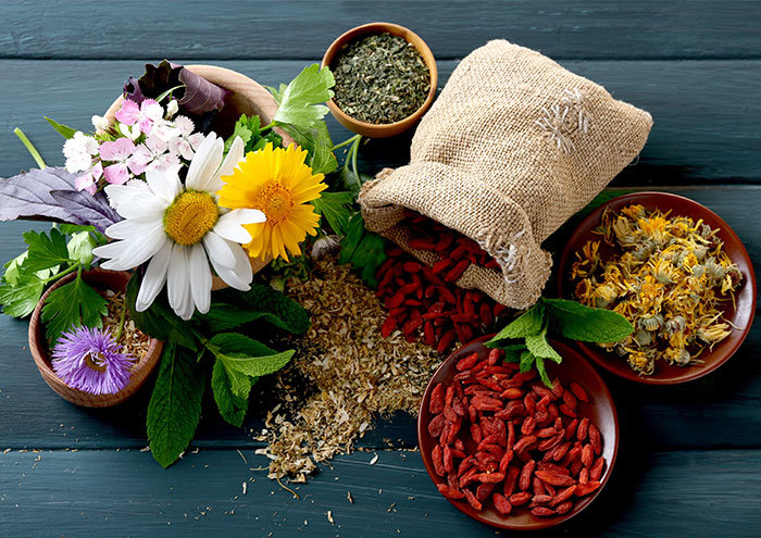 Iranian, Russian universities to launch project on herbal medicine