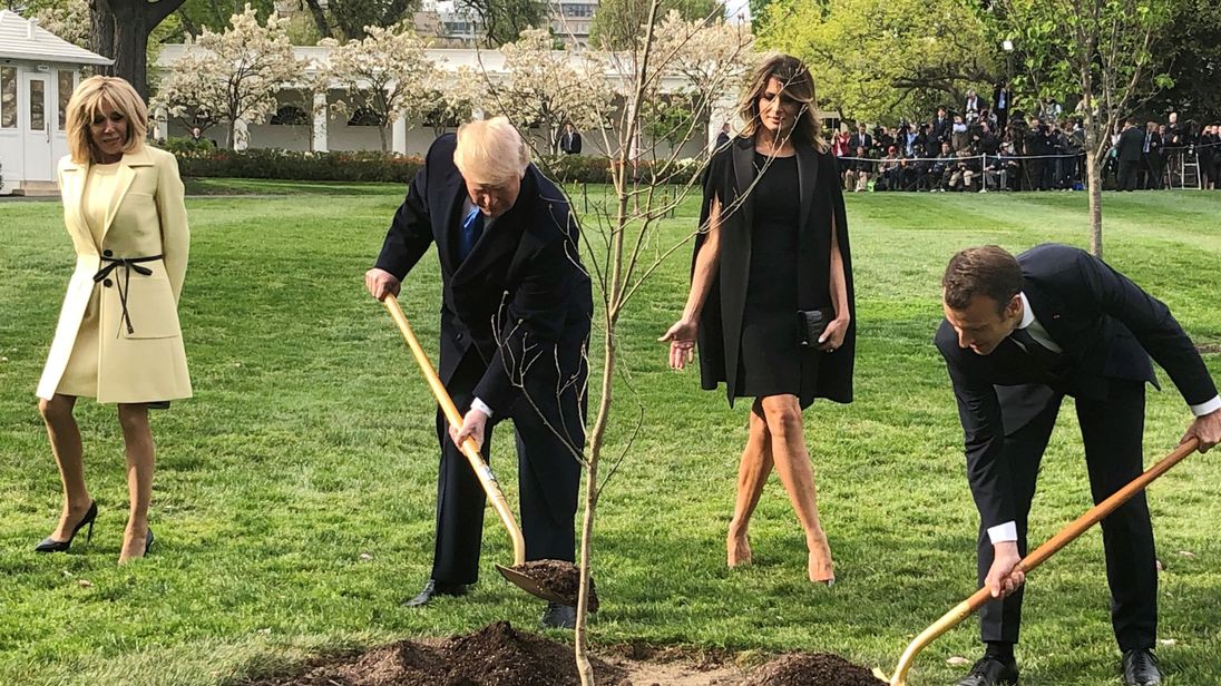 Macron's tree removed from White House lawn just days after his departure