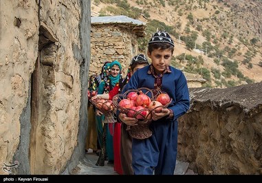 first Pomegranate festival in Kurdistan