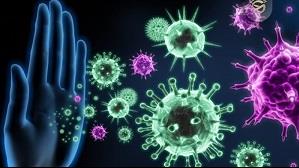 چگونه سیستم ایمنی بدن را در مقابل کرونا ویروس تقویت کنیم؟