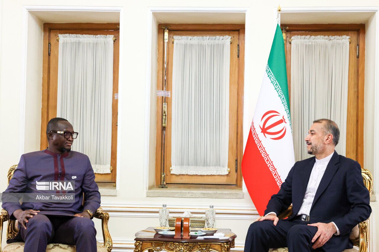 امیرعبداللهیان: توسعه همه جانبه مناسبات با قاره آفریقا از اولویت‌های ایران است