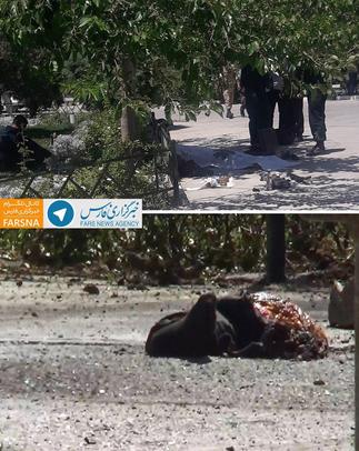 انفجار انتحاری یکی از تروریست ها در مرقد امام راحل
