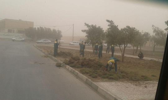  کارگران فضای سبز شهرداری اهواز در  هوای آلوده مشغول به کار هستند!
