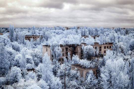 چرنوبیل، شهری در نزدیکی مرز اوکراین با بلاروس، بعد از فاجعه اتمی سال ۱۹۸۶ به شهر ارواح تبدیل شده است.
