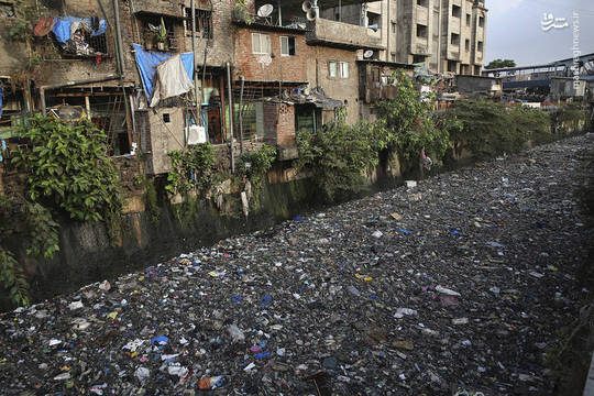 تصویری از یک رودخانه در شهر بمبئی هند که به دلیل ریختن زباله توسط مردم و عملکرد ضعیف شهرداری این شهر به آلوده ترین رودخانه دنیا شهرت یافته است.

