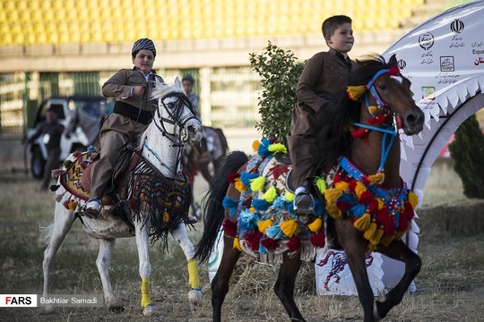 دومین جشنواره ملی اسب کرد با شرکت ۱۵۰ ورزشکار از ۱۰ استان در بخش‌های زیبایی اسب، «شوسواره» یا کردی‌سورای حرکات نمایشی و رزمی و بازی‌های بومی با اسب در ورزشگاه ۲۲گولان سنندج برگزارشد.