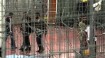 Rights group: Israel has detained 14,000 Palestinians since 2015