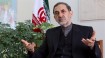 EU's appeasement of Trump will make JCPOA impotent: Iranian official