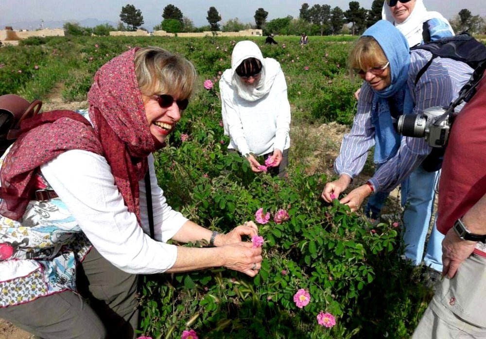 Rosewater festivals draw visitors to central Iran
