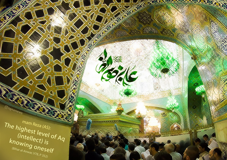 Highest Degree of Intellect in Imam Reza’s Words