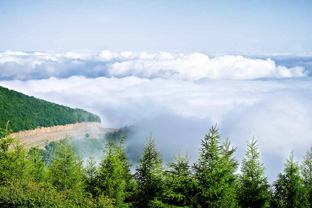 Cloud Forest, a spectacular natural site in Shahrud
