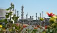 Official: Iran First Exporter of Catalysts in OPEC