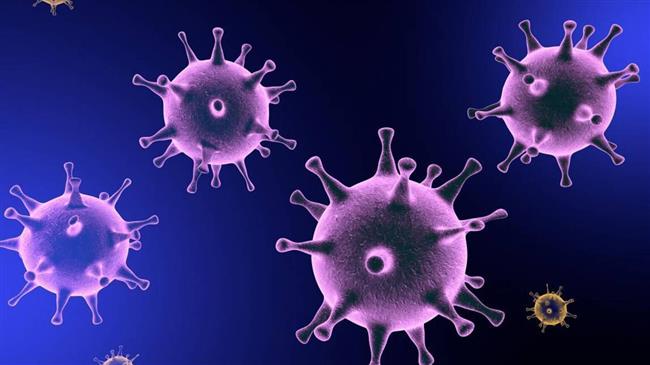 Iranian research center developing vaccine, drugs for coronavirus