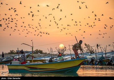 Iran’s Beauties in Photos: Sirik Lagoon