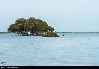 Iran’s Beauties in Photos: Sirik Lagoon