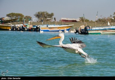 Iran’s Beauties in Photos: Sirik Lagoon