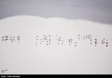 Iran’s Beauties in Photos: Sirik Lagoon