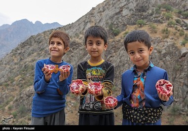 first Pomegranate festival in Kurdistan