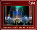 عکس/ گزارش تصویری11مرداد1396