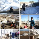 عکس/گزارش تصویری هفته دوم آذر1396