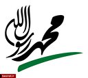 نگرانی غرب از گرایش مردم به دین مبین اسلام