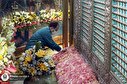 گل آرایی صحن و سرای رضوی در آستانه میلاد امام رضا(ع)