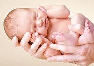 ولادت‌های ثبت شده همچنان سیر نزولی دارند