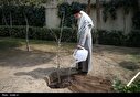 تصاویر/ منتخب تصاویر چهارشنبه پانزدهم اسفندماه ۱۴۰۳