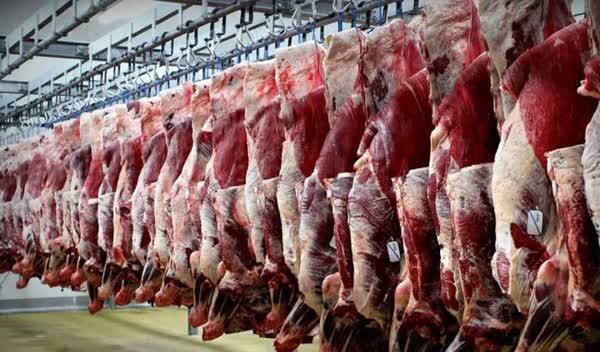 سود بازرگانی گوشت و دام زنده صفر و گوشی اپل ۹۶ درصد شد