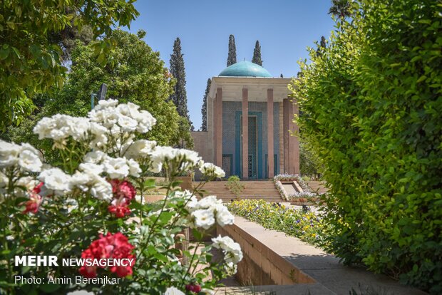 سعدی؛ نوشداروی دردهای فرهنگی امروز جامعه ما