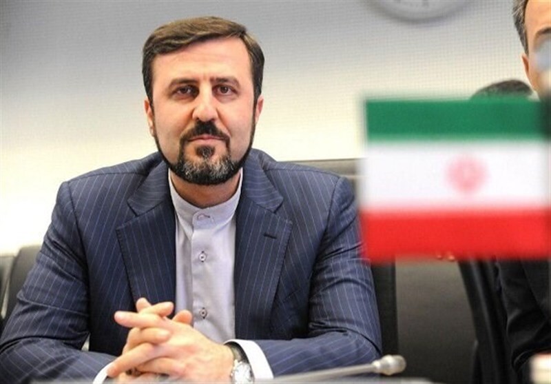غریب آبادی: اقدام سیاست زده همکاری با آژانس را مشکل می‌کند