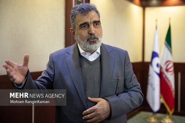 کمالوندی: حتی صدور قطعنامه به اسنپ‌بک منجر نمی‌شود