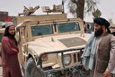 نتیجه خوش خدمتی به روباه