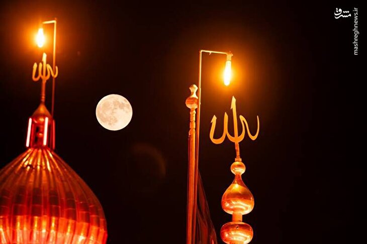 تصاویر/ منتخب تصاویر یکشنبه ۱۹ مرداد ماه ۱۴۰۴