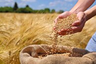 اقدامات اصلاحی برای تراز تجاری منفی