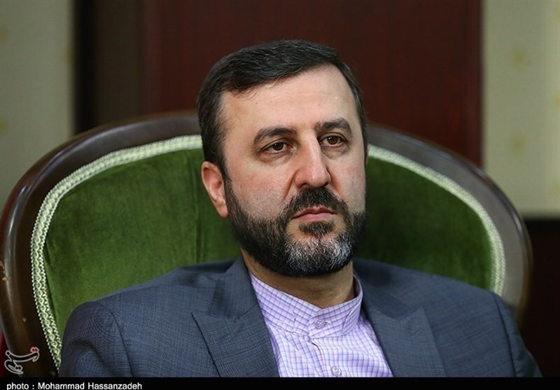 غریب آبادی: اگر اروپا روند اسنپ‌بک را آغاز کند تعامل با آژانس متوقف می‌شود
