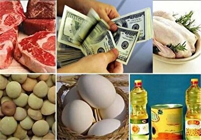 ارشدی: ارز ارزان دولتی به واردات کالای اساسی باید تخصیص داده شود نه کالا‌های لوکس