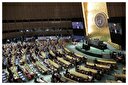 دیدار با گرگ‌ها؛ خیالی خطرناک در نیویورک