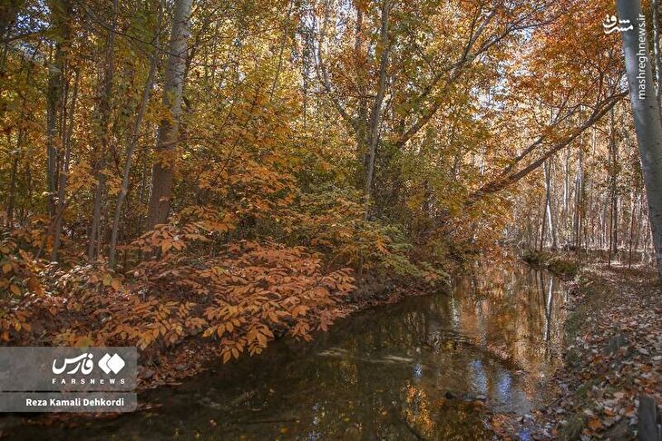 تصاویر/ منتخب تصاویر شنبه دهم آبان ماه ۱۴۰۴