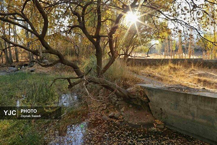 تصاویر/ منتخب تصاویر چهارشنبه ۲۱ آبان ماه ۱۴۰۴