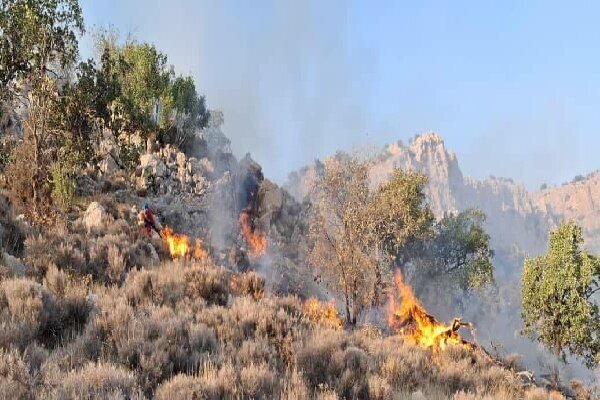 پیشروی اطفای حریق در جنگل الیت مازندران؛ ایجاد معبر ضدآتش از شب گذشته