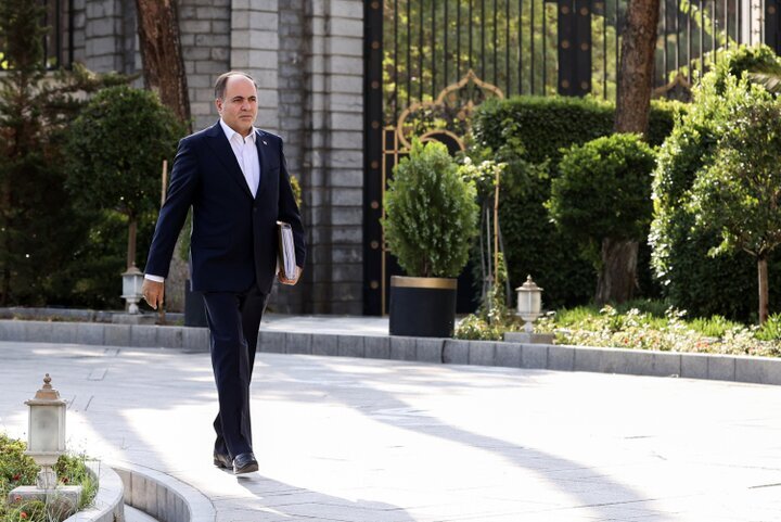 نوری قزلجه: قیمت مرغ اصلاح شده و علتی برای گرانی وجود ندارد