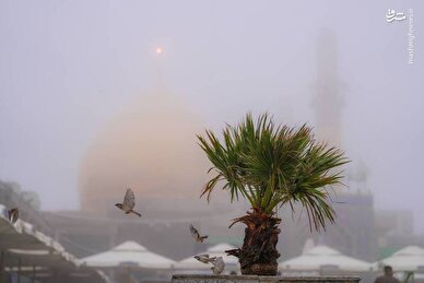 تصاویر/ منتخب تصاویر یکشنبه ۲۳ آذرماه ۱۴۰۴