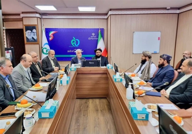 افغانستان و ایران در مسیر تقویت همکاری‌های دارویی