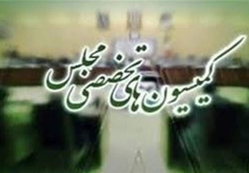 قیمت‌گذاری دستوری خودرو و حمایت از زنان در دستورکار مجلس