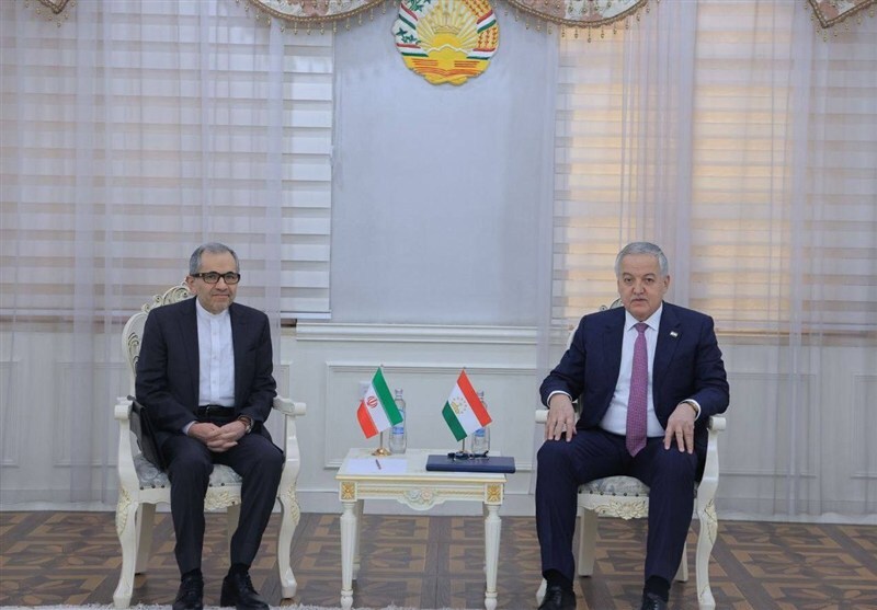 تخت‌روانچی: ایران و تاجیکستان از پیوندهای دوستی قوی برخوردارند