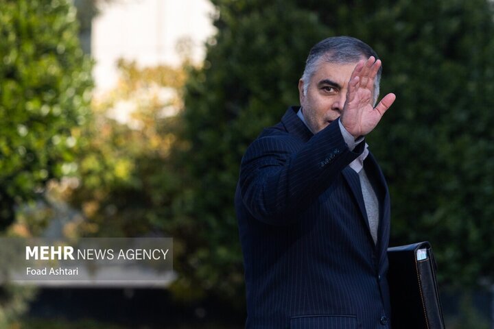 پاک نژاد: «شورای عالی انرژی» تشکیل می‌شود