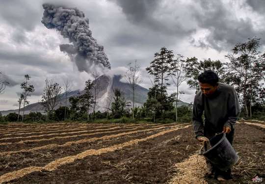  کشاورزی هنگام فعال شدن کوه آتشفشان سینابونگ اندونزی