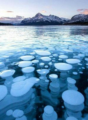  پدیده حباب های یخی در دریاچه یخ زده دریاچه آبراهام در منطقه سرد آلبرتای کانادا، جلوه زیبایی به این دریاچه داده است.
