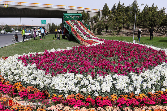 گل‌آرایی و نمادهای نوروزی در سطح شهر مشهد